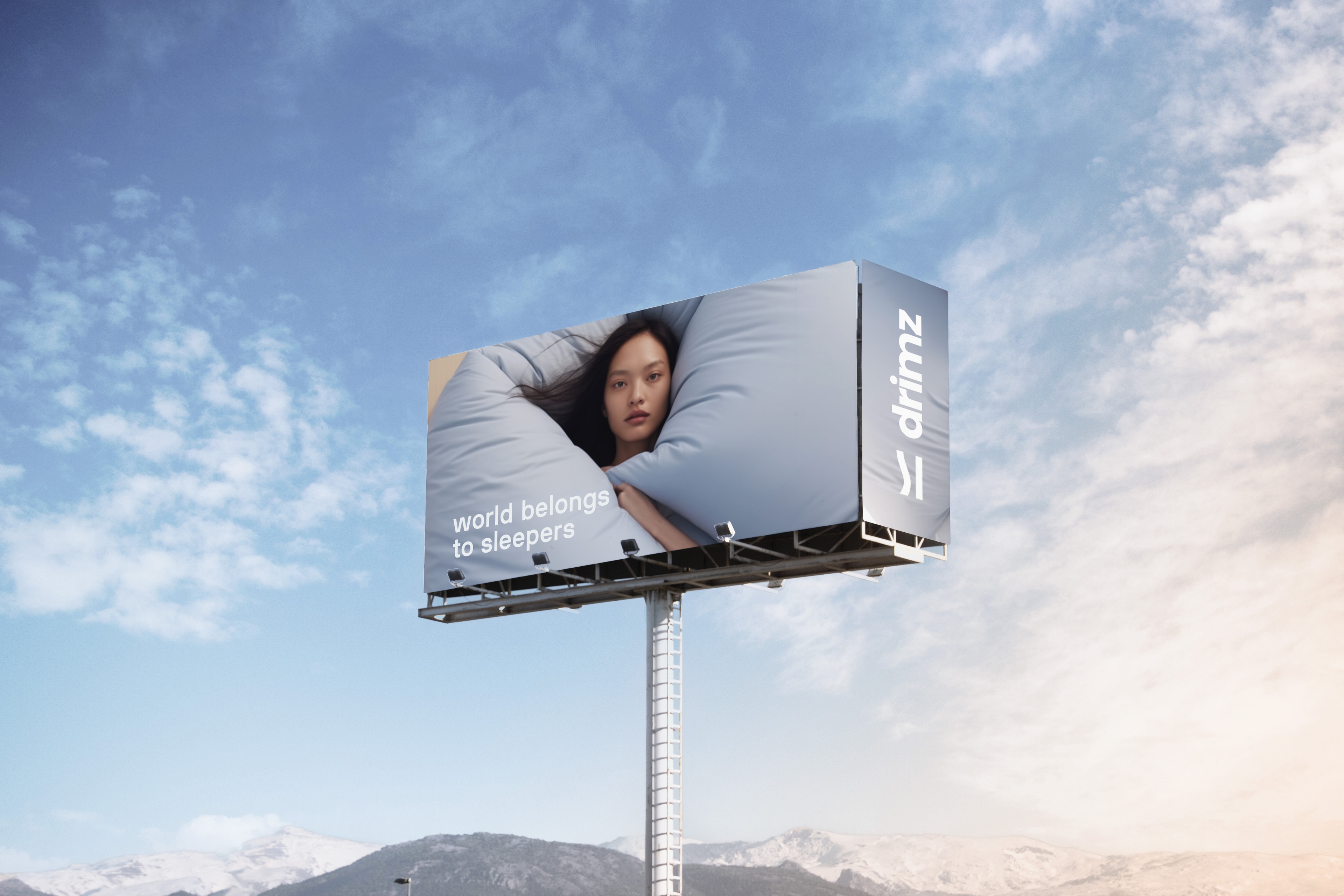 Drimz project image 2