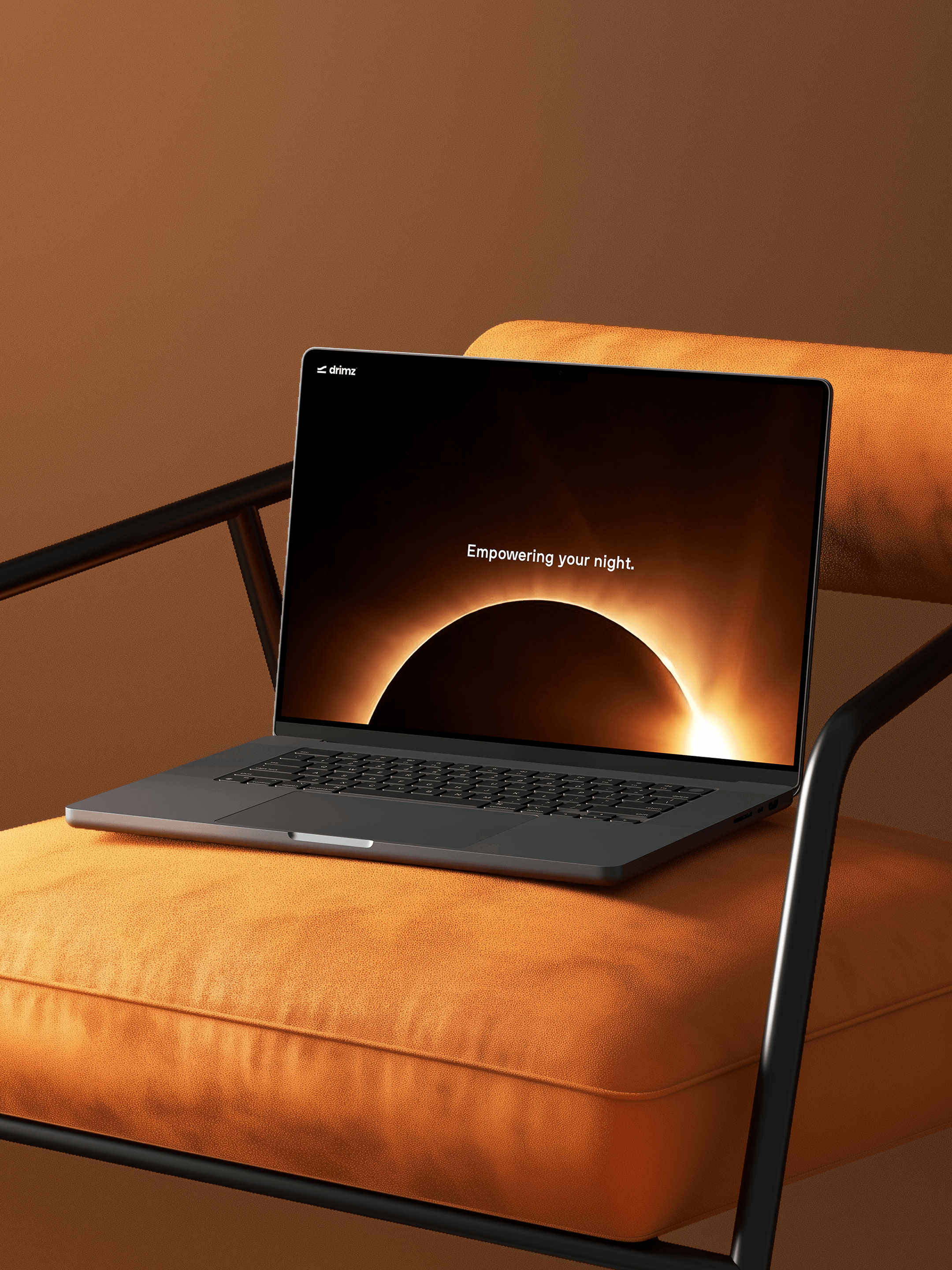 Drimz project image 4