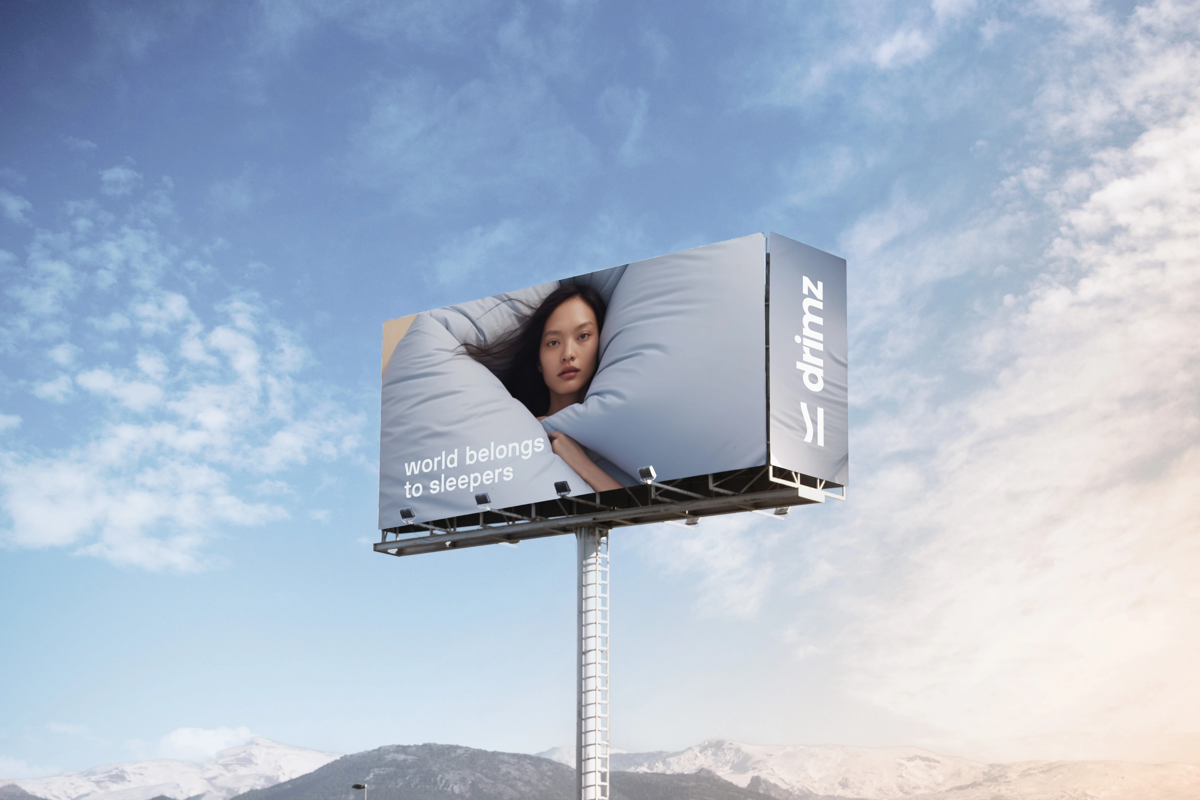 Drimz project image 2